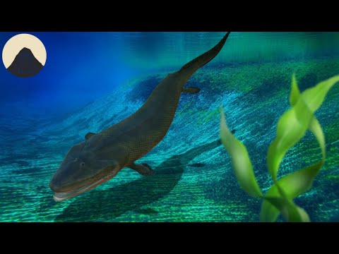 魚はどのようにして陸に上がったのか