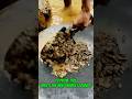 #goldrush 2025 The easiest place to find hidden gold treasure that no one knows about#goldpanning