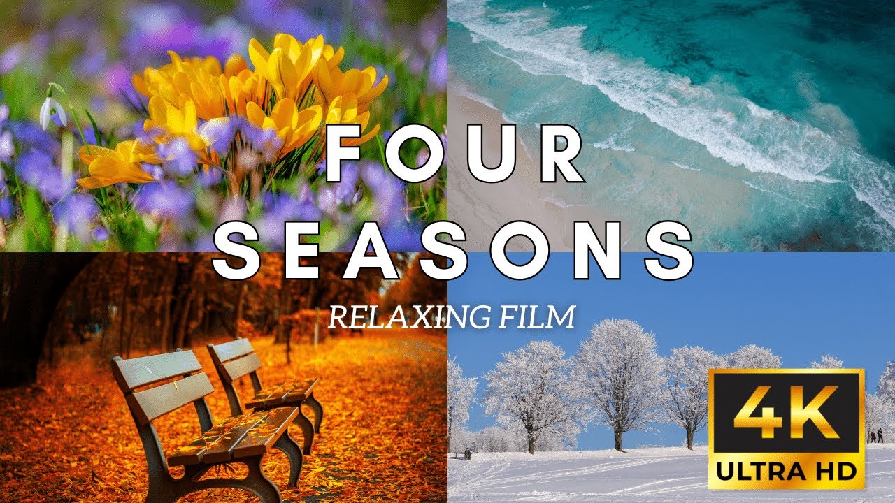 FOUR SEASONS 4K Ultra HD  |1 HOUR+RELAX| |Relaxation Film with Classical Music#relaxingvideo #season