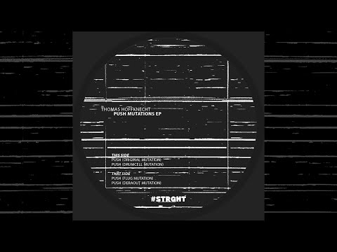 Thomas Hoffknecht - Push (Original Mix)