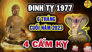 Giải Lịch Sử 12 Bài 14: Phong trào cách mạng 1930 – 1935