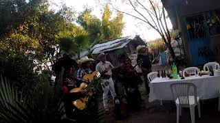 Mi retrato, La Elenita, Las rejas no matan - Rancheras clásicas de clásicas con requinto y guitarra