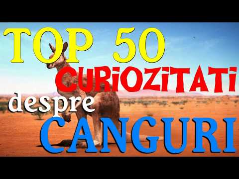 pierdere în greutate bass mare