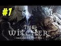 SEX WITH A WITCH! The Witcher (#7) 