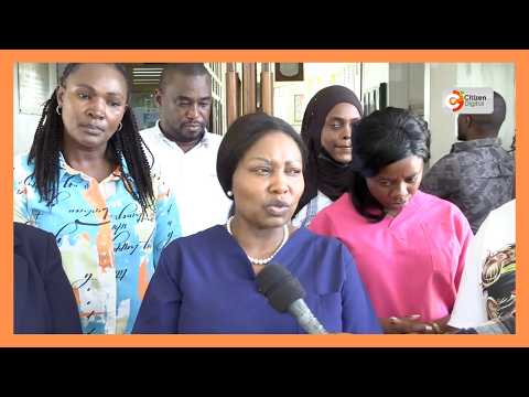 Aliyekuwa seneta mteule Millicent Omanga atilia shaka ruwaza ya 2060