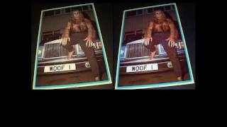 Werewolf - Ozzy Osbourne - 1983