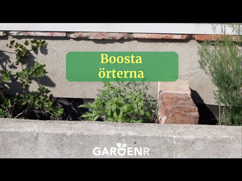 Boosta örterna - Trädgårdshacks med GardenR