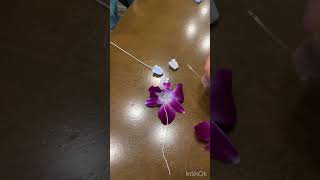 本場ハワイでレイメイキング #shorts  #hawaiilife #leimaking #aloha