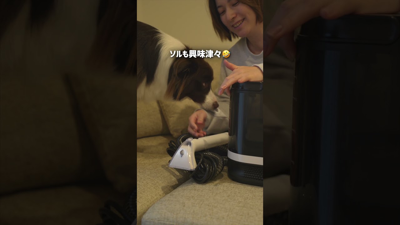 愛車にアレをぶちまけて最悪の気分です…