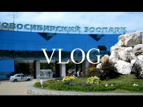 ВЛОГ. Новосибирский зоопарк