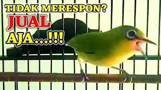 Download lagu TIDAK MERESPON? JUAL AJA‼️ PLECI NGALAS PENUH EMOSI BIKIN PLECI LAIN LANGSUNG MERESPON, PLECI GACOR mp3 Download lagu TIDAK MERESPON? JUAL AJA‼️ PLECI NGALAS PENUH EMOSI BIKIN PLECI LAIN LANGSUNG MERESPON, PLECI GACOR mp3