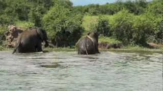 preview picture of video 'Kazinga Channel Boat Cruise'