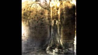 Clock Paradox - For the Unity We Breathe