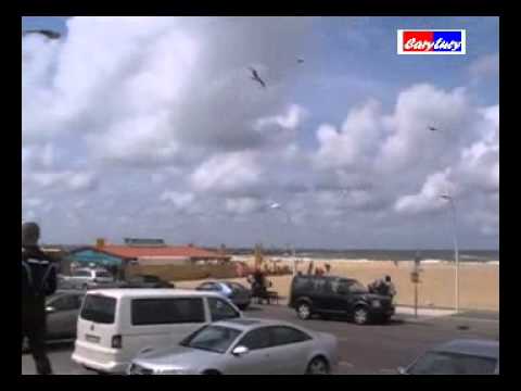 PLAYAS DE HOLANDA DE LA HAYA 2011