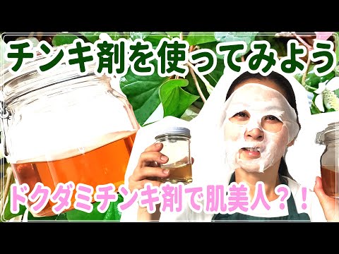 医療ビジネス薬科学科 ドクダミチンキ剤で肌美人？！ チンキ剤の活用方法紹介！