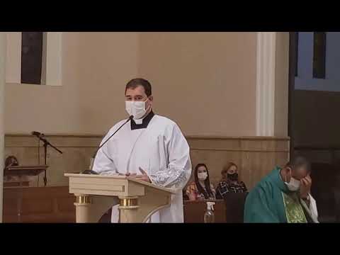 15º Domingo do Tempo Comum