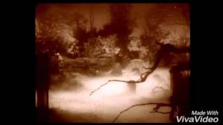 Jacobs Zuma's Number Of The Beast