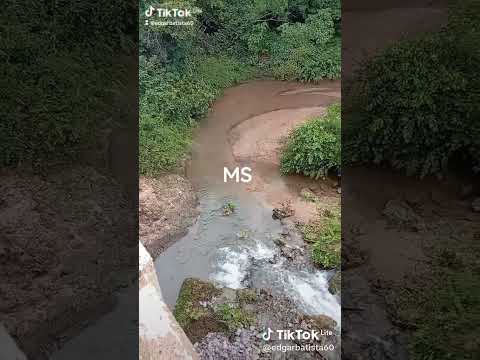 Jardim Matogrosso do sul