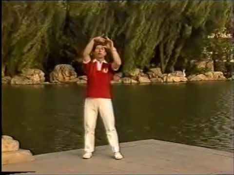 Shi Ba Shi Qi Gong Set 2 太极气功十八式  第二套 - by Lin Hou Sheng