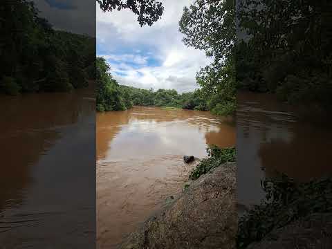 Rio dos Bois  cheio - Varjão Goiás #riodosbois #varjão #varjaogoias #Rio #riocheio #goias goias