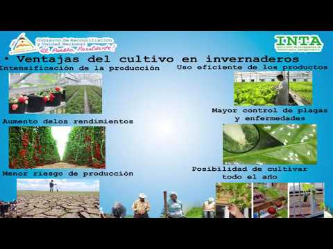 , title : 'Técnicas para la siembras y producción de hortalizas'