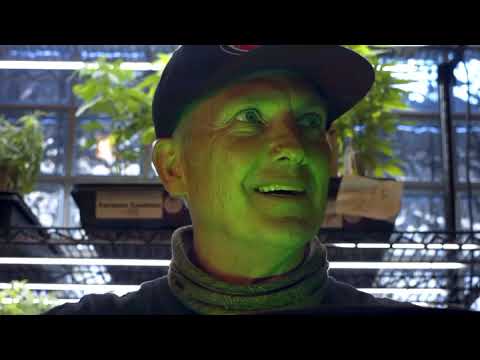 Classic Green Derby Jacket