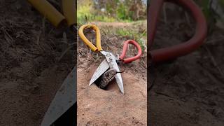 Download lagu snake capture idea 😂😂 subscribe to watch more from THE JUNGLE mp3 Download lagu snake capture idea 😂😂 subscribe to watch more from THE JUNGLE mp3