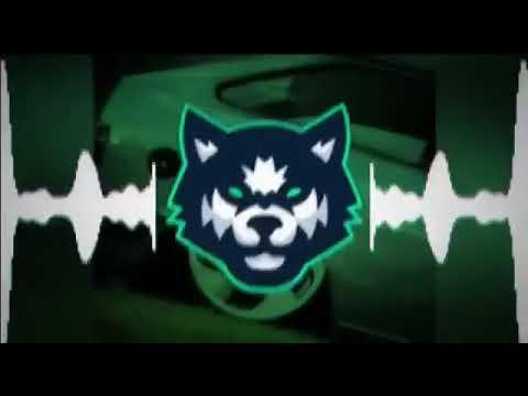 Hoje a noite aj na selva quem dorme e o leão com (grave)