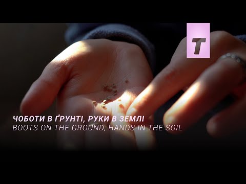 Кароліна Ускакович - відео обкладинка