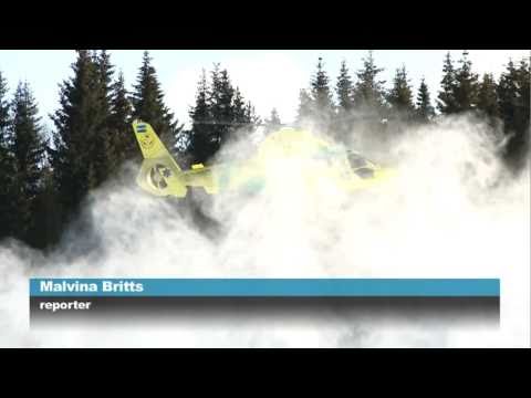 Pojke attackerad av björn