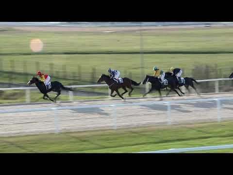 2019.11.17. 06. futam - AMATŐRVERSENY HENDIKEP (V.o.) (szintetikus pálya)