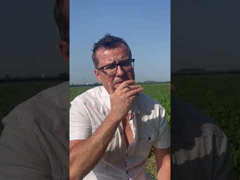 Dobre Złego początki