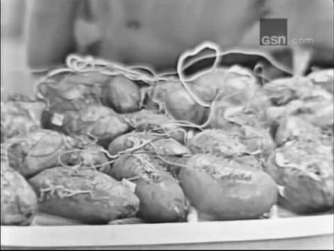 I've Got A Secret! - Ed Begley , Sr. & Allan Sherman 4/20/1964