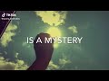 Yesterday Is History Tomorrow Is A Mystery But Today Is A Gift That Is Why It Is Called The Present