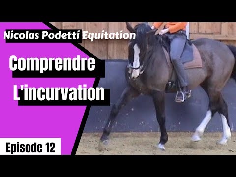 Equitation L'incurvation