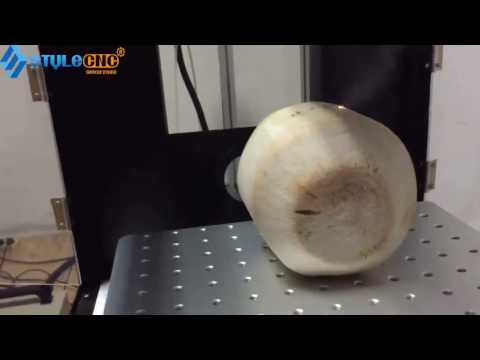 CO2 Laser Marking Machine DIY Custom Logo on Fresh Coconut