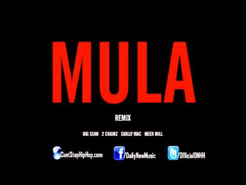 Big Sean - Mula (Remix) (Feat. 2 Chainz, Earlly Mac & Meek Mill)