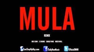 Big Sean - Mula (Remix) (Feat. 2 Chainz, Earlly Mac & Meek Mill)