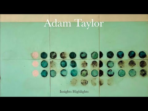 I Don't Need To Paint Figuratively | Adam Taylor | Insights Highlights