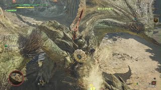 [MHWilds] 闘技大会リオレイア 片手剣ソロ 03'58″48