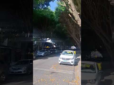 Rua São Paulo Poços de Caldas a rua nais arborizada