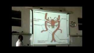 Embryology - Dr Sherif Fahmy -CVS part 3