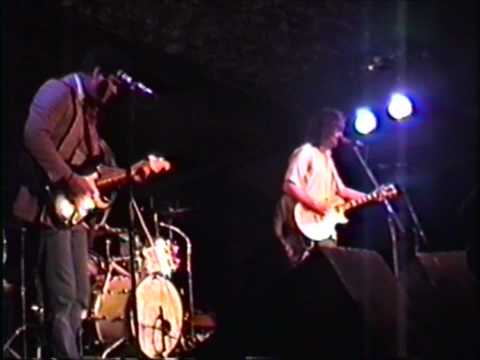 The Young Fresh Fellows - Rock-n-Roll Pest Control (Live 1988)