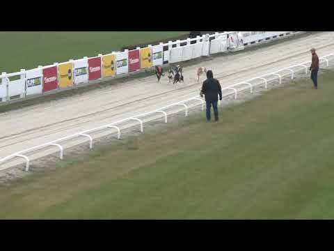 2022.12.17. 12. futam - Mester Tréner Díj