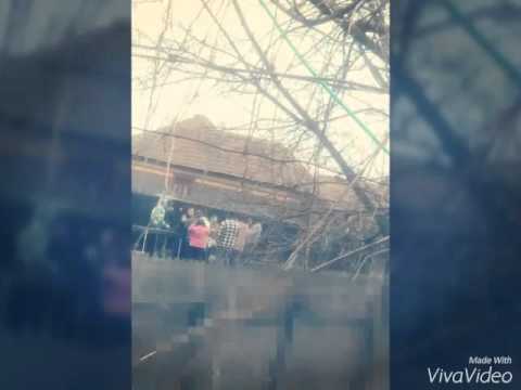 Pomeni electorale marca GEMENI