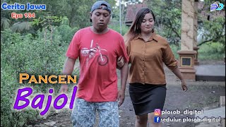 Download lagu PANCEN BAJOL || Eps 134 || Cerita Jawa mp3
