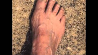 Cass McCombs - A.Y.D.