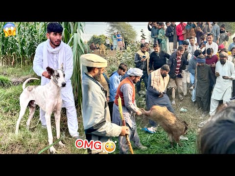 BASSAM KY FARM SY JUNGLE BALAN KA SHIKAR KIYA😱