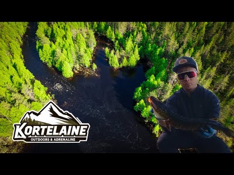 HAUENKALASTUSTA JOELLA | HIENO AURINKOINEN PÄIVÄ☀️