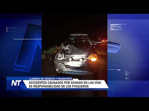 accidentes causados por ganado en las vías es responsabilidad de los finqueros